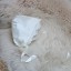 Scarlett Christening Bonnet